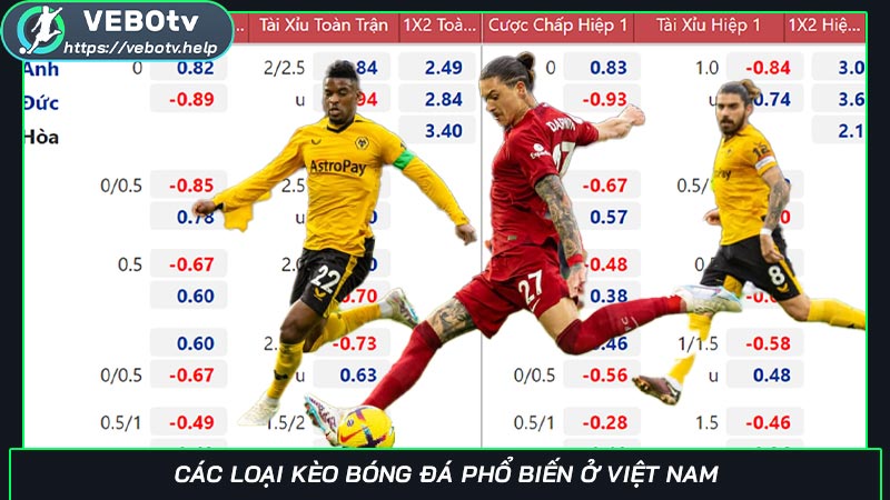 Các loại kèo bóng đá phổ biến ở Việt Nam