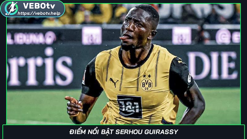 Điểm nổi bật Serhou Guirassy