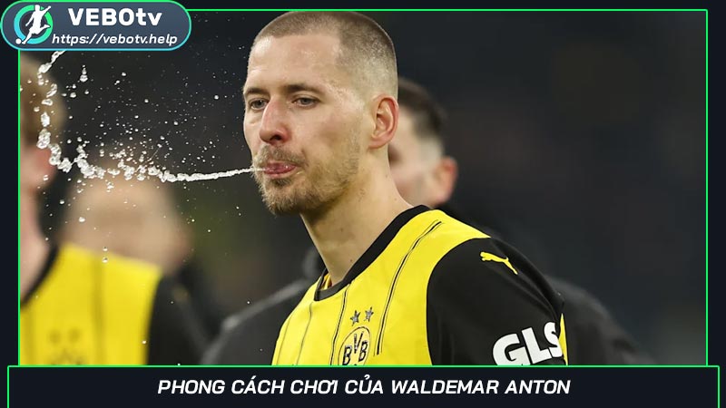 Phong cách chơi của Waldemar Anton