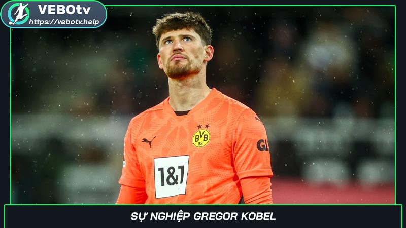 Sự nghiệp Gregor Kobel