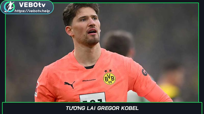 Tương lai Gregor Kobel